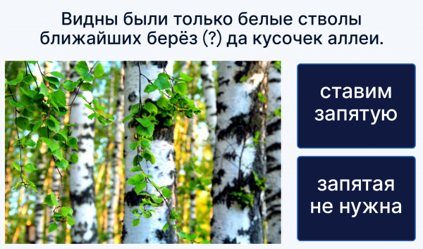 Белая викторина